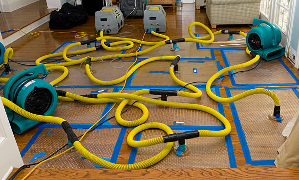 Professional Sewage Cleanup technician working in California City, CA